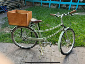 Pashley Ladies bicycle Green - Main Photo