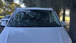 2021 Volkswagen Californian White and green - Photo 6