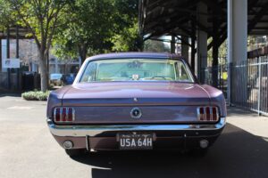 #5. Coupe Example 5