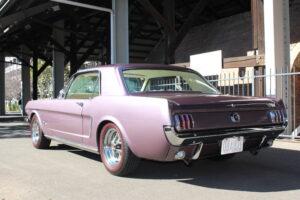 #6. Coupe Example 6