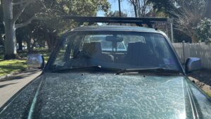 #8. Over bonnet looking at driver and passenger seat