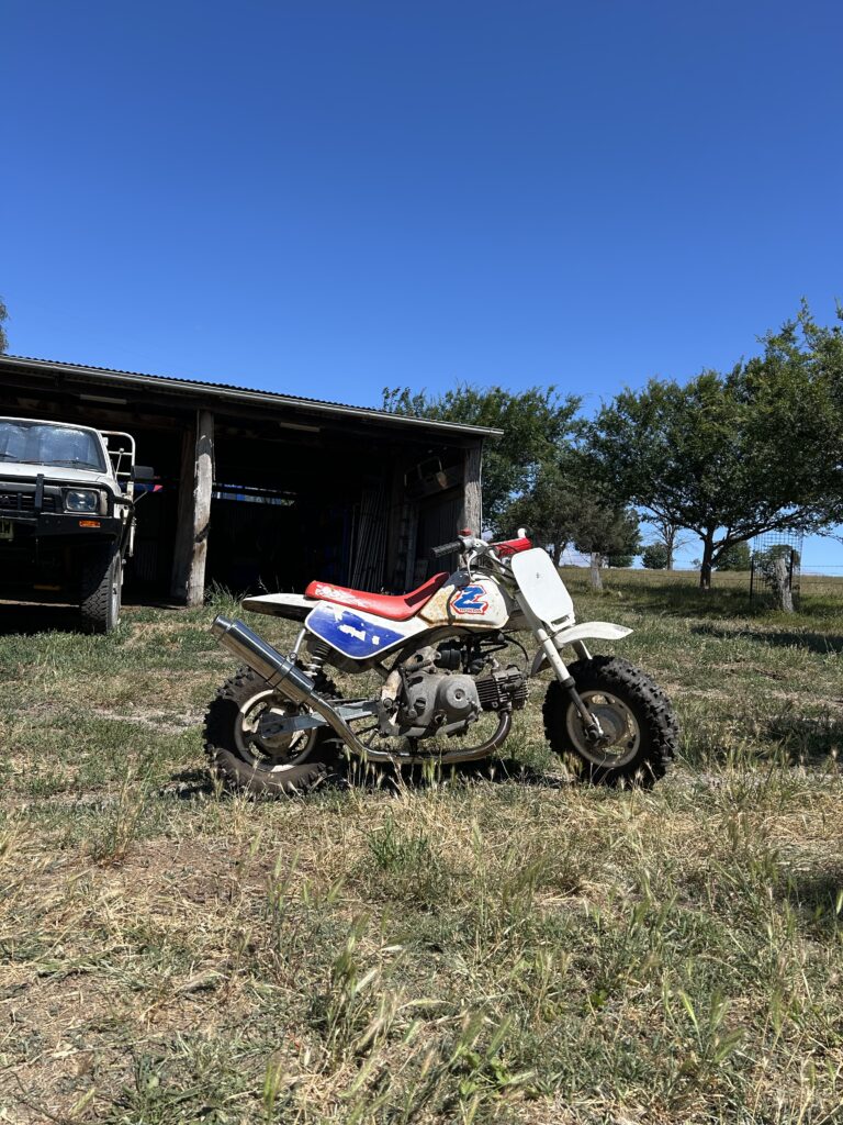 Honda Z50r White