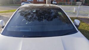 #6. Over bonnet looking at driver and passenger seat