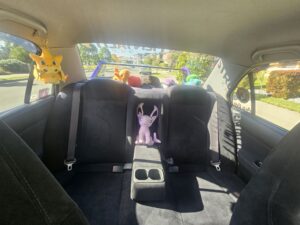 #10. Clear view of rear seat