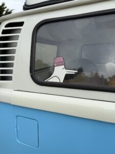 1974 Volkswagen Kombi Blue/cream - Photo 7