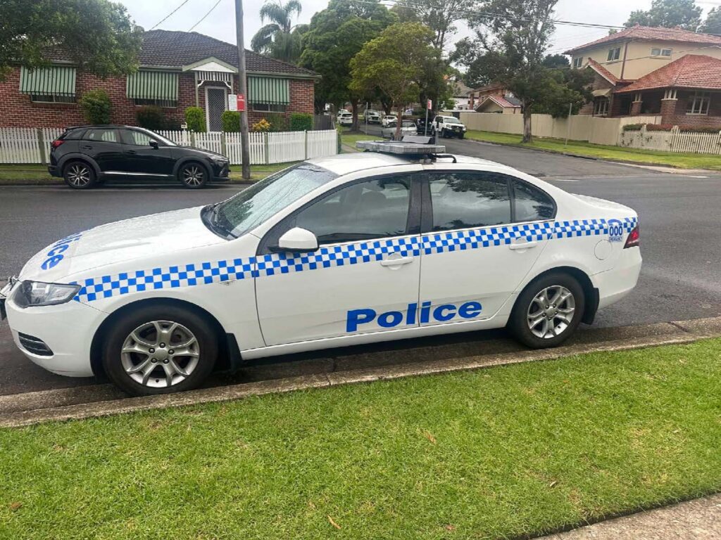 2009 Ford Falcon White