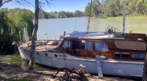 1951 Halvorsen 47 foot Bridgedeck cruiser White and timber - Photo 3
