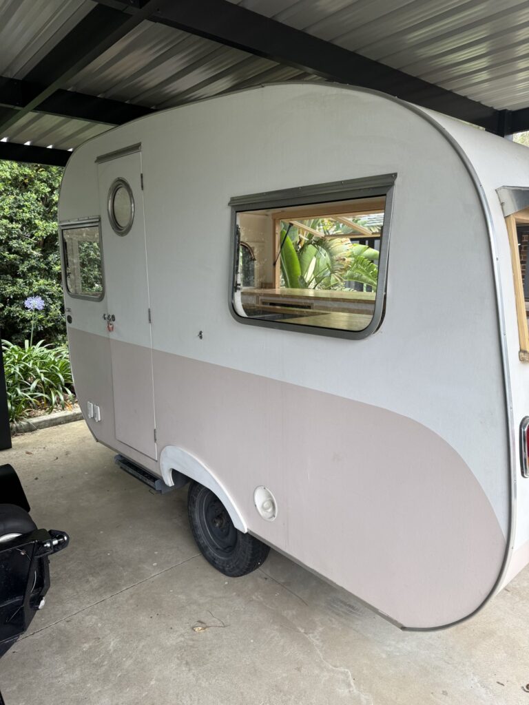 1950 replica Woodi Peony Pink and cream