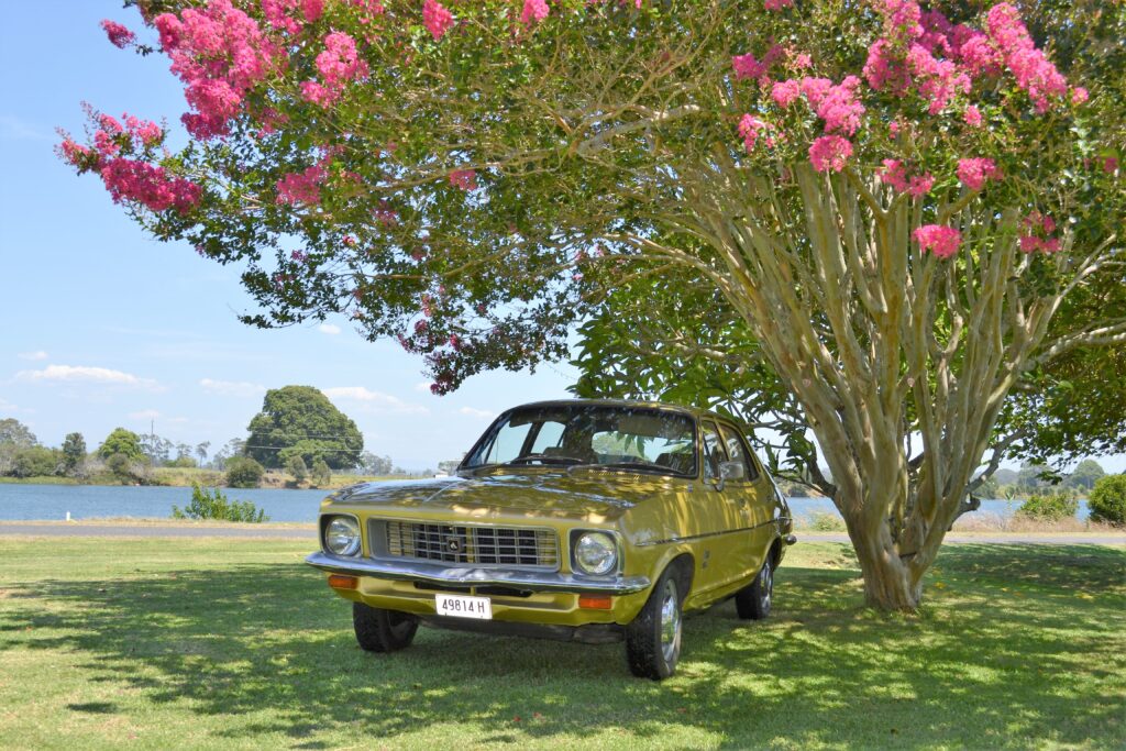 1973 Holden Torana Gold