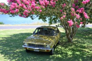 1973 Holden Torana Gold - Photo 4