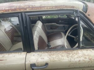 #7. Looking through drivers side window
