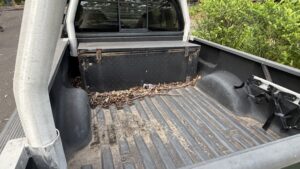 1999 Ford F150 Green - Photo 6