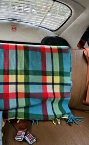 #10. Clear view of rear seat