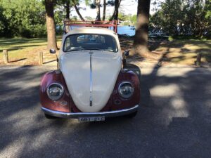 1965 Volkswagen Beetle Beige/burgundy - Main Photo