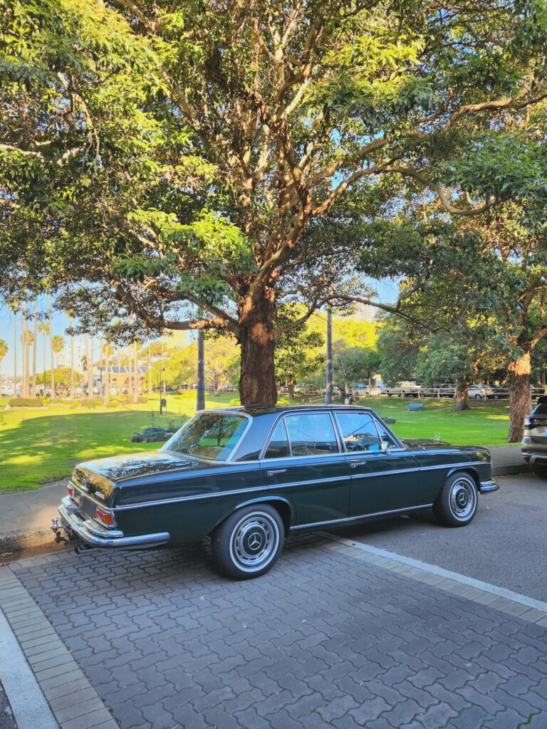 1969 Mercedes-Benz 280SE Green