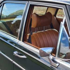 #7. Looking through drivers side window