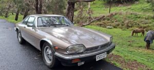 1986 Jaguar XJS Satin beige metallic - Main Photo
