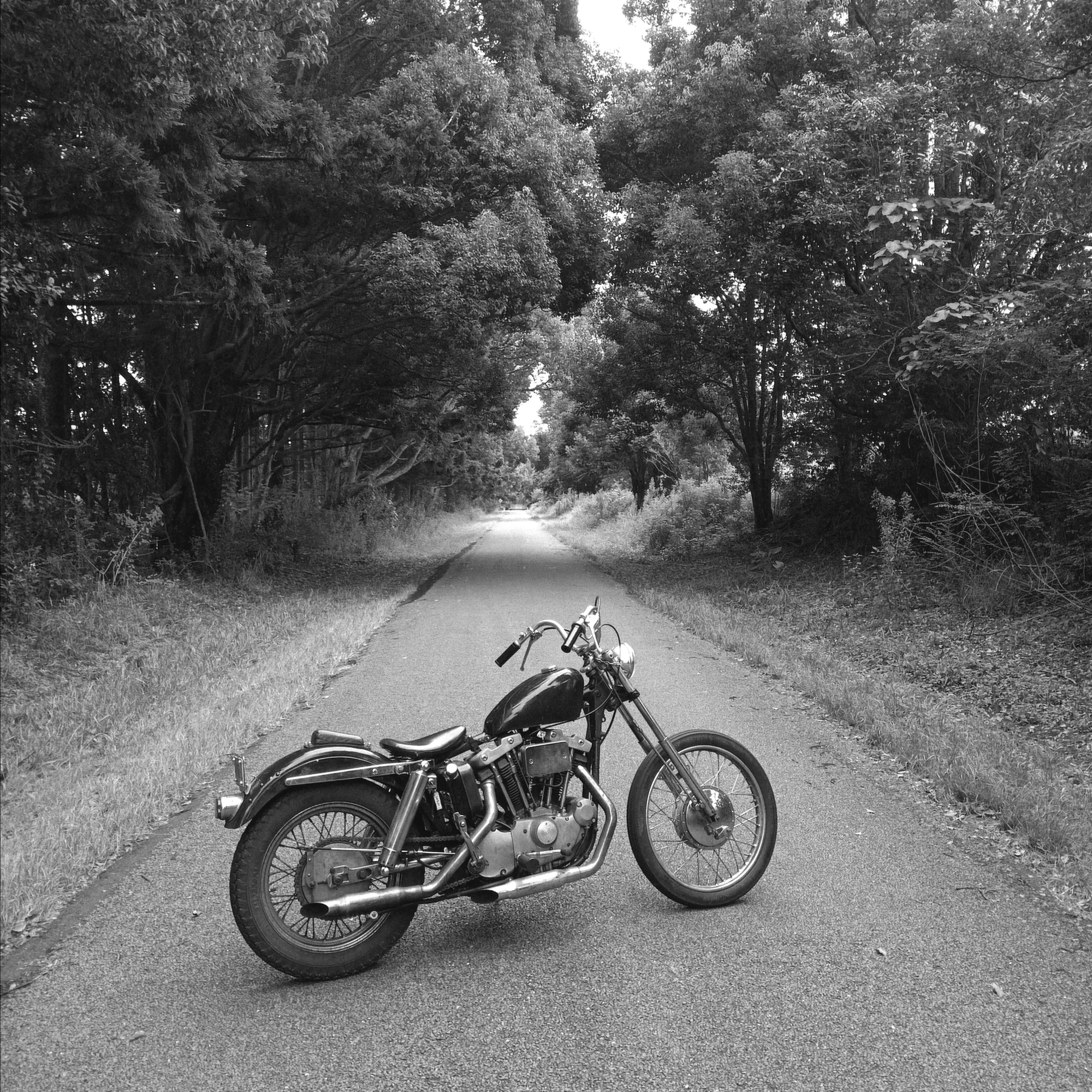 1973 Harley davidson Ironhead sportster Black