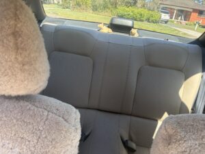 #10. Clear view of rear seat