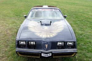 1979 Pontiac Firebird Black - Photo 3